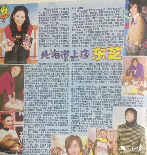 高贵的娱乐吃瓜,揭秘吃瓜群众的狂欢盛宴